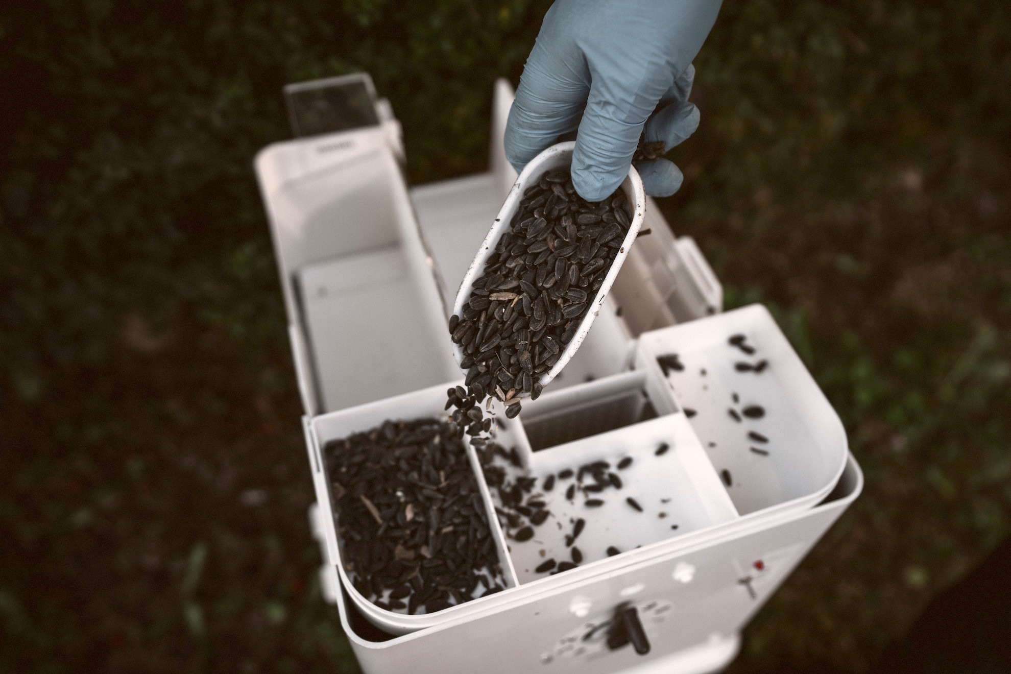 Derattizzazione ecologica